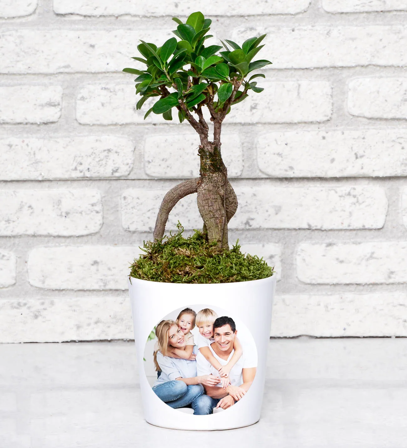 Kişiye Özel Fotoğraflı Ficus  Bonsai