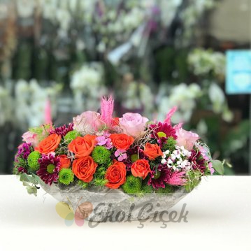 Kayık Saksıda Mini Güller