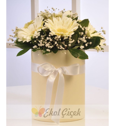 Samsun Cicekci Samsun Cicek Samsun Cicekci 0362 2305225