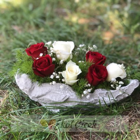 Kayıkta Kırmızı Beyaz Güller
