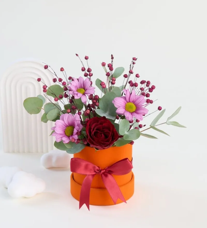 Aranjmanlar